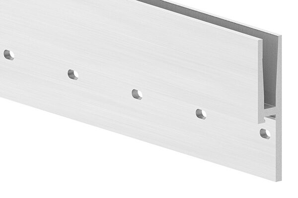 Alu-Profil ELEGANZA STRONG zur seitlichen Montage, in Edelstahleffekt, L: 3000mm, eloxiert, 20my Schichtdicke, E4 = Schliff, EV1 = Farbton Silber, mit AbP und statischer Berechnung