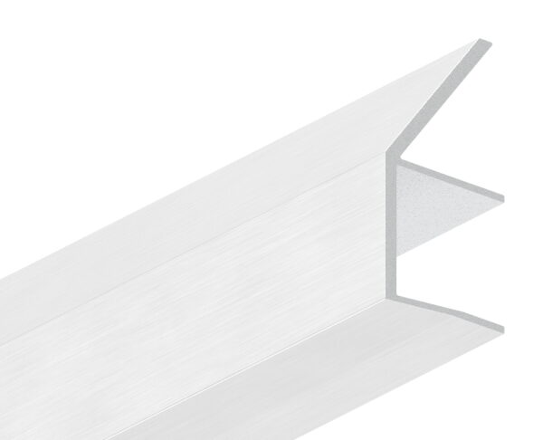 Regenrinne für Vordächer, Aluminium eloxiert mit Edelstahloptik (E4/EV1), für Glas 17,52mm, L: 6000mm