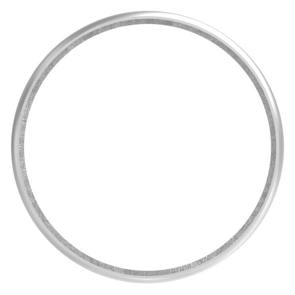 Ring für Rohr 48,3mm, geschliffen Korn 240, V2A