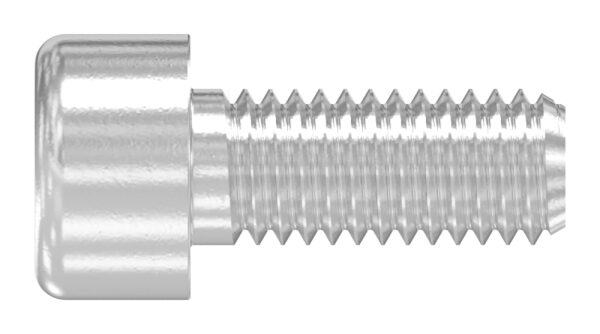 Zylinderkopfschraube M5 x 12 mit Innensechskant, A4, DIN 912