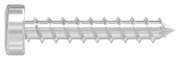 SPAX-Holzschrauben mit Flachkopf 5x30mm, V2A, mit...