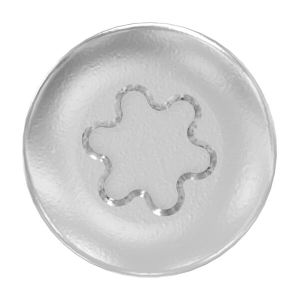 SPAX-Holzschrauben mit Flachkopf 5x30mm, V2A, mit Torxantrieb T20