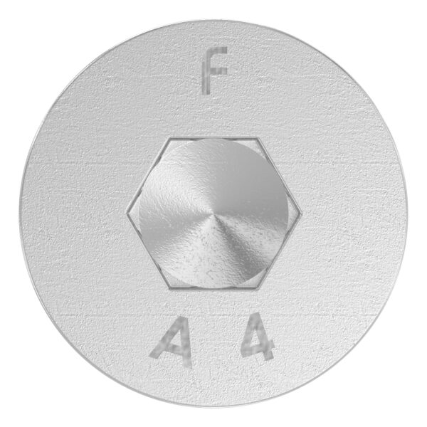 Spezialschraube M8 x 20 mit Innensechskant, A4, VPE = 4 Stück