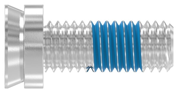 Spezialschraube M8 x 20 mit Innensechskant, A2, VPE = 40...