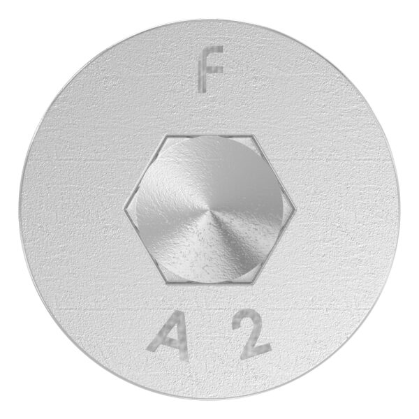 Spezialschraube M8 x 20 mit Innensechskant, A2, VPE = 40 Stück