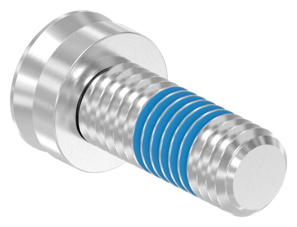 Spezialschraube M8 x 20 mit Innensechskant, A4, VPE = 40 Stück