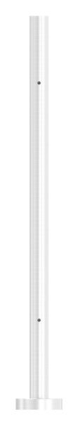 Edelstahlpfosten 42,4x2,0mm V2A zur Bodenmontage, H:...