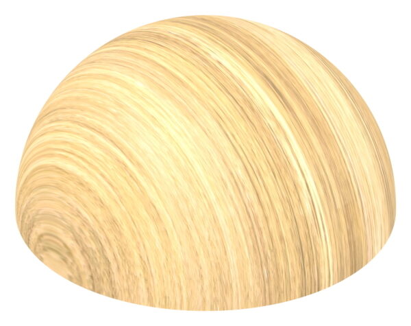 Endkappen für Holzhandlauf Eiche, Ø42mm, halbrund, geschliffen und lackiert, mit Dübelbohrung und Dübel (15x35mm)
- nur für den Innenbereich geeignet -