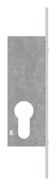 Rohrrahmen-Riegelschloss, Dornmaß 22mm, vorgerichtet für Profilzylinder, 1-tourig, Riegel  aus Zinkdruckguss