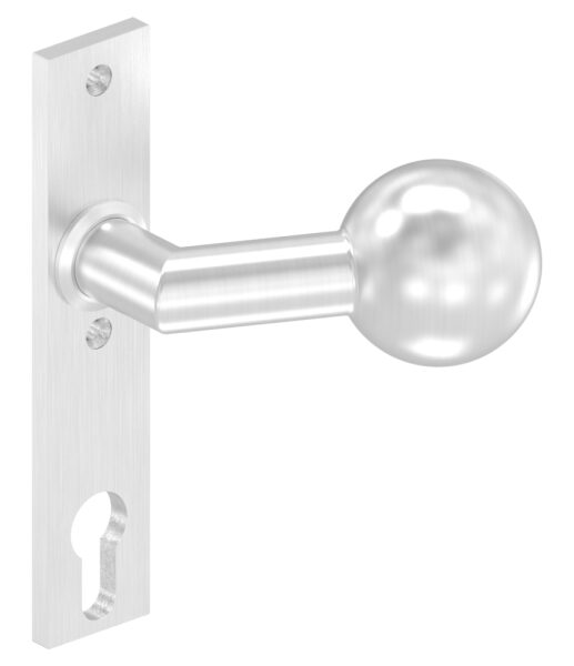 Türknopf, Ø 50mm, mit Langschild, gekröpft, feststehend, eckig, LI und RE verwendbar, V2A