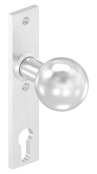 Türknopf, Ø 50mm, mit Langschild, feststehend, V2A