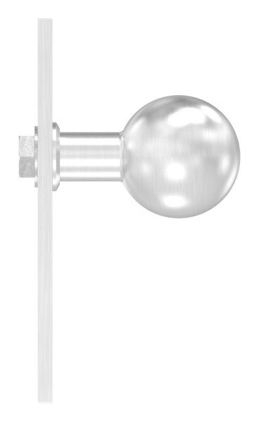 Türknopf, Ø 50mm, mit Langschild, feststehend, V2A
