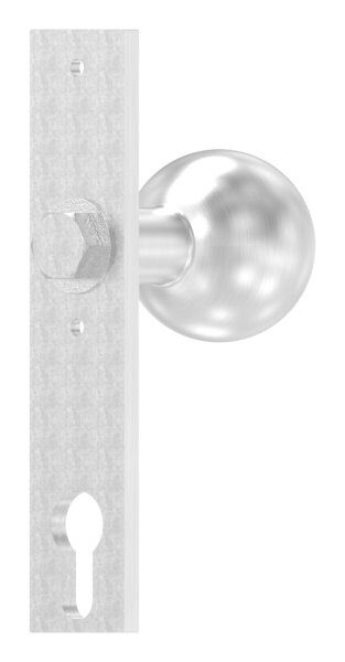Türknopf, Ø 50mm, mit Langschild, feststehend, V2A