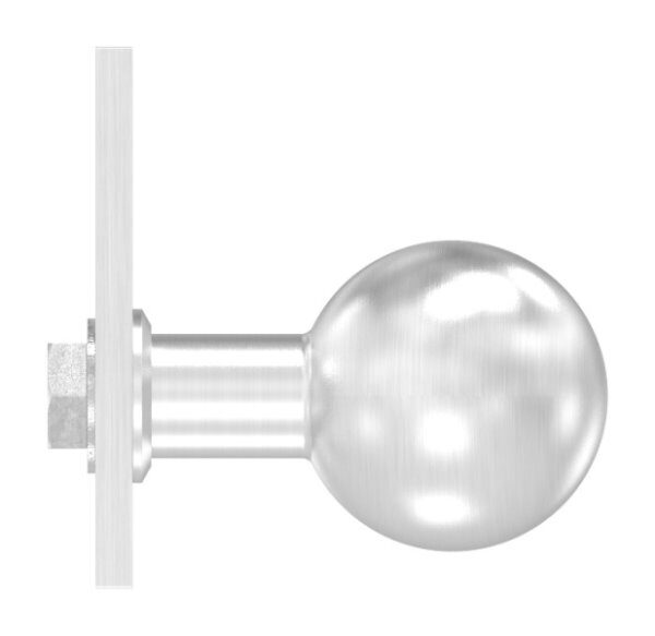 Türknopf, Ø 50mm, mit Kurzschild, feststehend, V2A