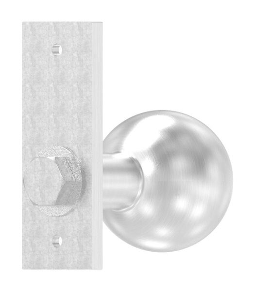 Türknopf, Ø 50mm, mit Kurzschild, feststehend, V2A