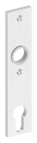 Langschild, eckig, passend für Schlosskästen, Abmessung: 32x156x6mm, V2A