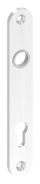 Langschild, gerundet, passend für Einsteckschlösser, Abmessung: 32x220x6mm, V2A