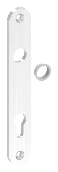 Langschild, gerundet, passend für Einsteckschlösser, Abmessung: 32x220x6mm, V2A