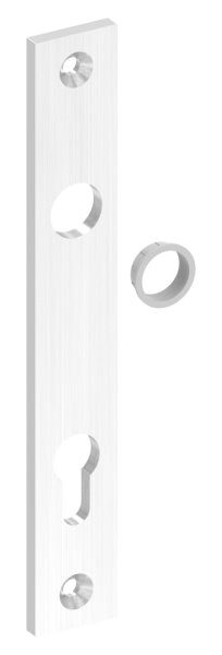 Langschild, eckig, passend für Einsteckschlösser, Abmessung: 32x220x6mm, V2A