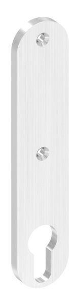 Langschild, gerundet, passend für Schlosskästen, Abmessung: 32x156x6mm, V2A