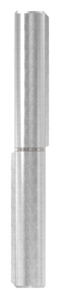 Anschweißband mit festem Stift und Edelstahlscheibe, L: 160mm, AußenØ: 18mm, BolzenØ: 10mm, Tragkraft bei 2 Bänder: 80kg, V2A