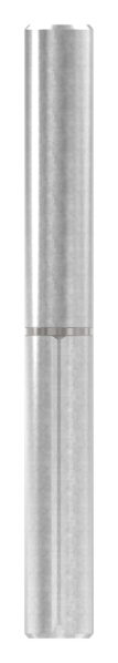 Anschweißband mit festem Stift und Edelstahlscheibe, L: 160mm, AußenØ: 18mm, BolzenØ: 10mm, Tragkraft bei 2 Bänder: 80kg, V2A