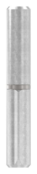 Anschweißband mit festem Stift und Edelstahlscheibe, L: 80mm, AußenØ: 12mm, BolzenØ: 7mm, Tragkraft bei 2 Bänder: 40kg, V2A