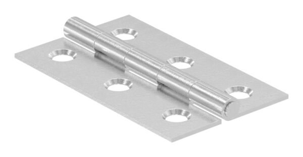 Edelstahl-Scharnier 50x30mm mit festem Zapfen, V2A