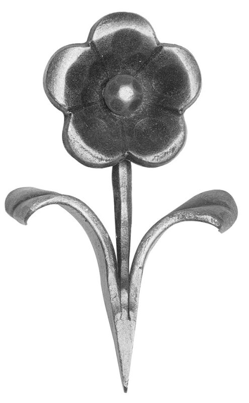 Blume 123x63mm