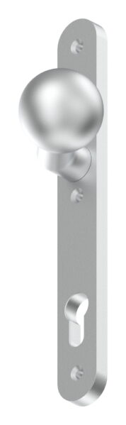 Langschild mit festem Türdrücker, LI und RE umstellbar, aus ALU EV1, 30x245x10mm, passend für Einsteckschlösser, Abstand 92mm mit 3 Bohrungen