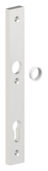 Langschild aus ALU EV1, 30x245x10mm, passend für Einsteckschlösser, Abstand 92mm mit 3 Bohrungen