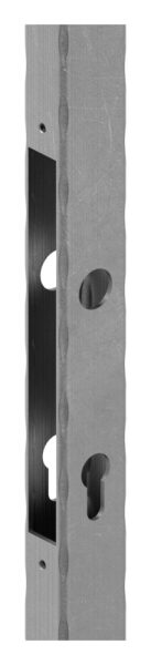 Schlossrohr 40x30 gehämmert, L:2000mm