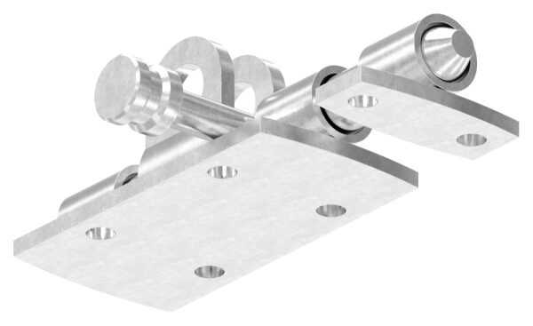 Torriegel zum Anschrauben, verriegelbar mit Vorhängeschloss, Edelstahl V2A, L: 100mm