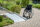 Rollstuhlrampe 3500 mm | Rutschfest & Sicher | Stationäre Rollstuhlrampe für Treppen und Absätze