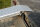 Aluminium Verladeschiene AOS | 2485 x 200 x 60 mm | Schiene mit rutschhemmender Perforierung R12 | Tragkraft 400 kg/Paar | Auffahrrampe