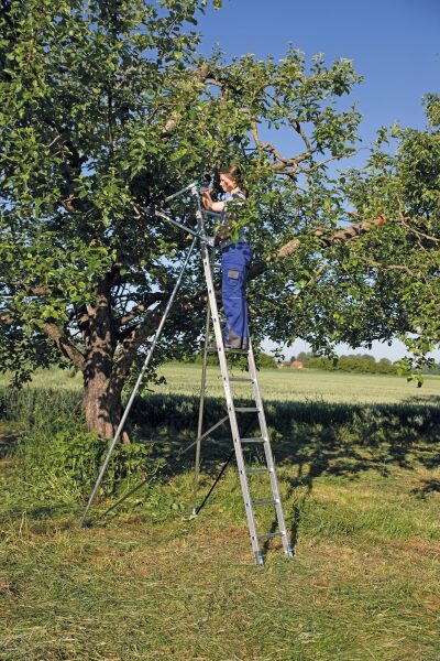 Obstbaumstützen passend für Anlegeleiter 10010 und Schiebeleiter 20210